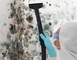 Best Environmental Consulting for Mold Prevention  in Santa Clara, CA